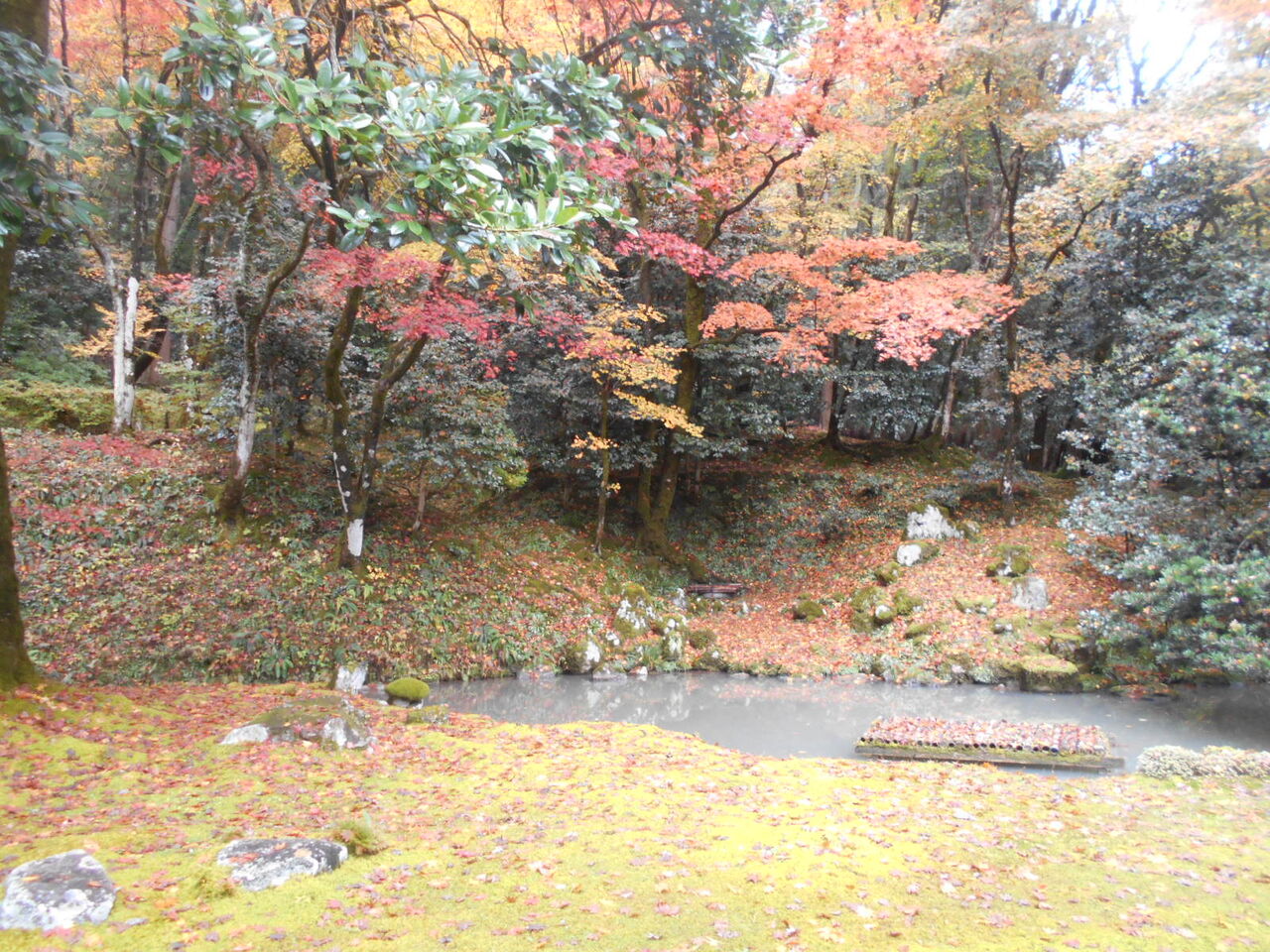 DSCN6320