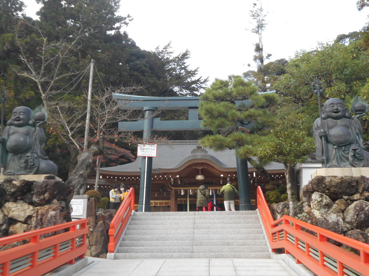 DSCN6241