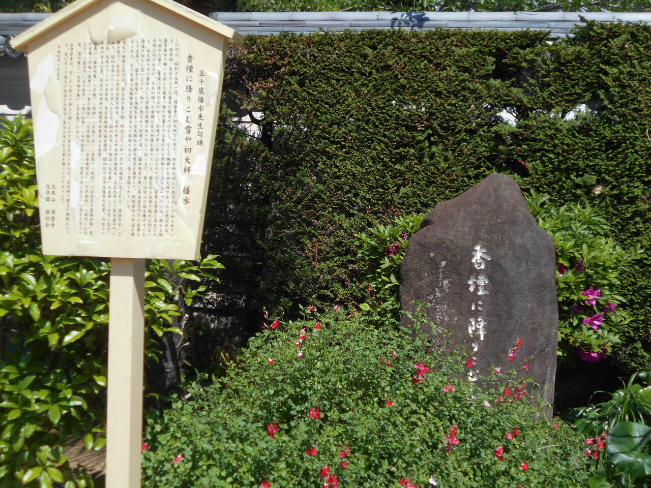 DSCN8297