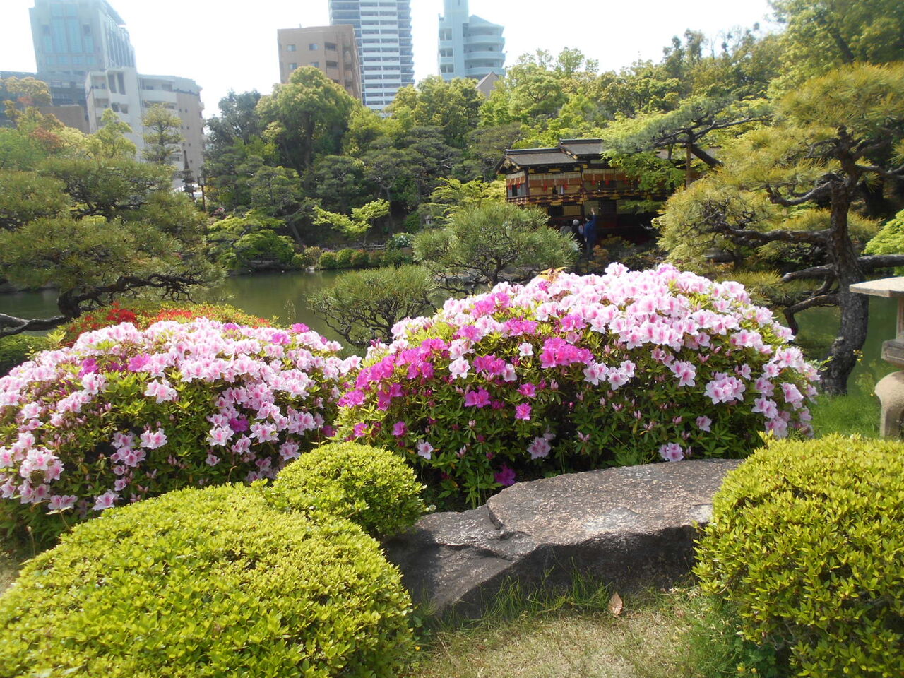 DSCN8033