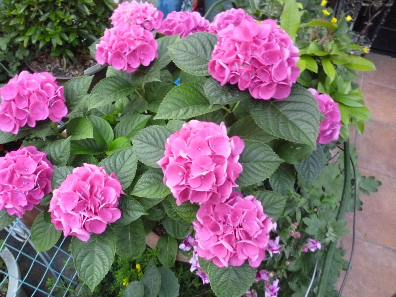P1150934