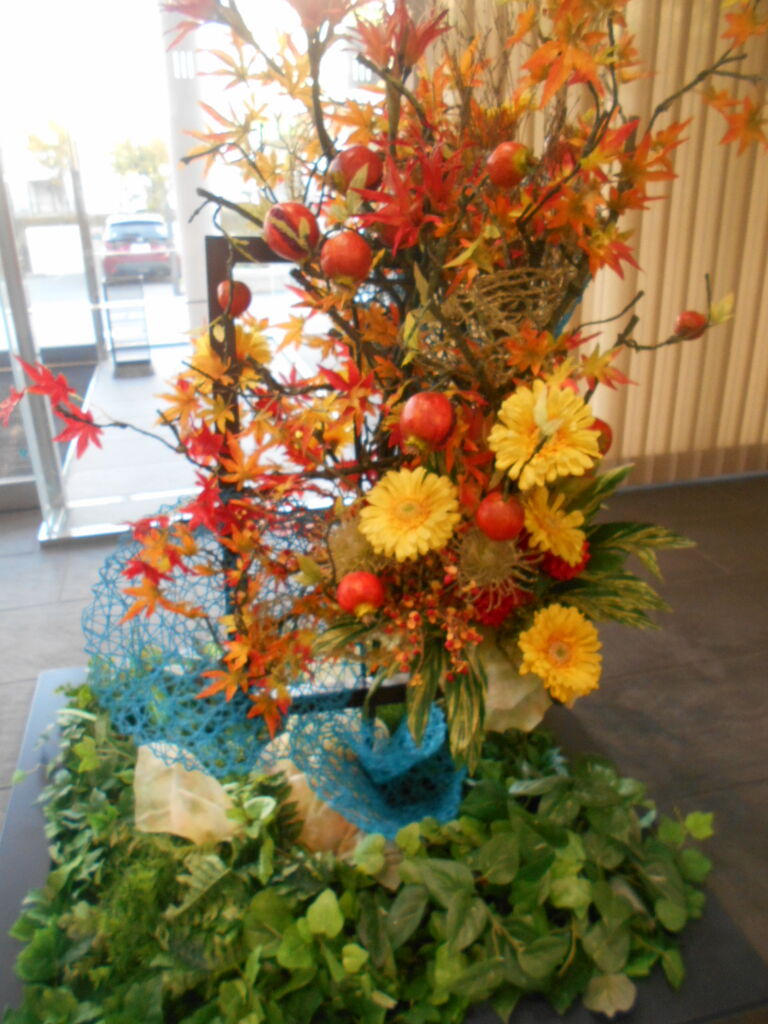 DSCN0635