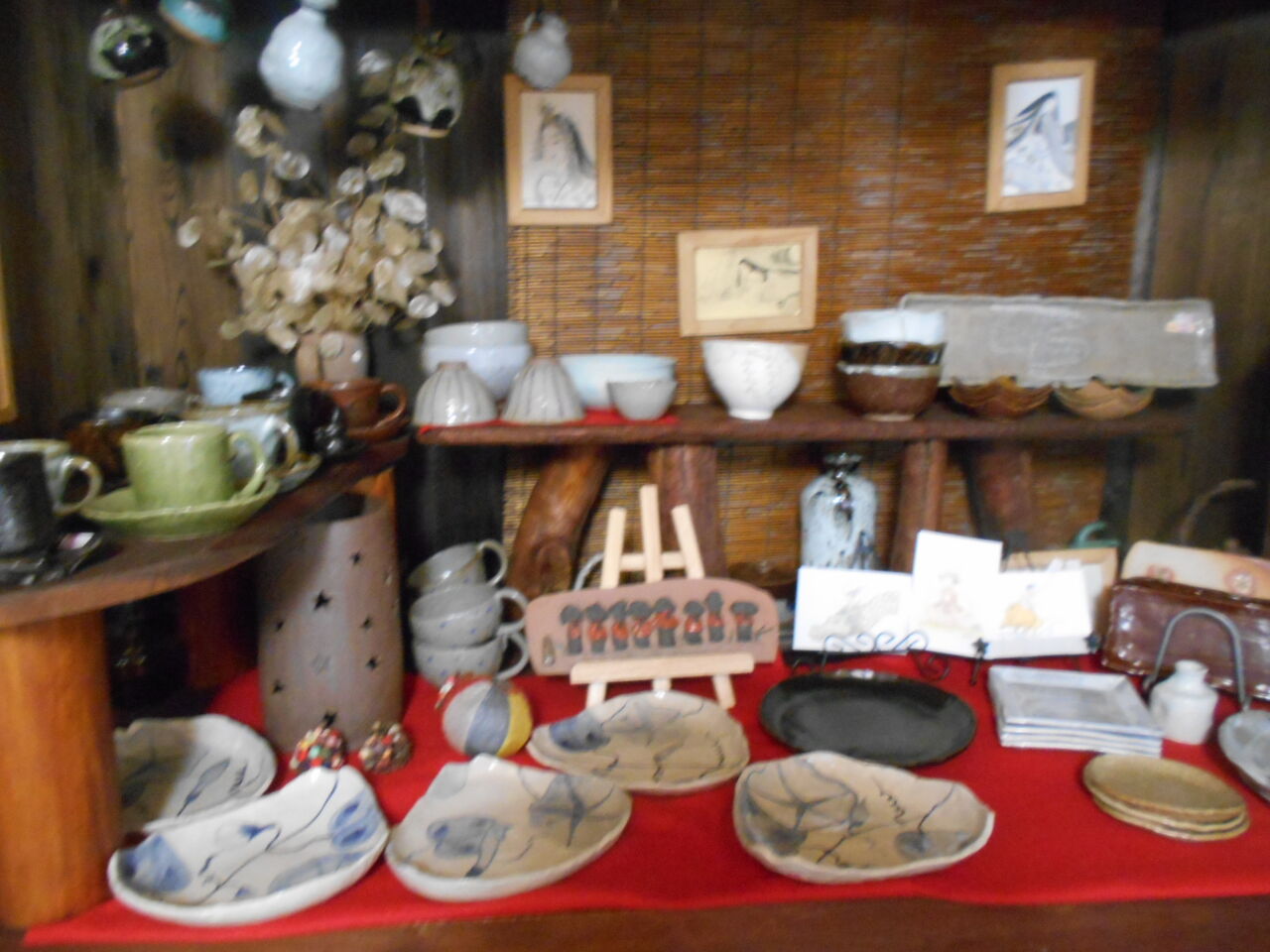 DSCN5623