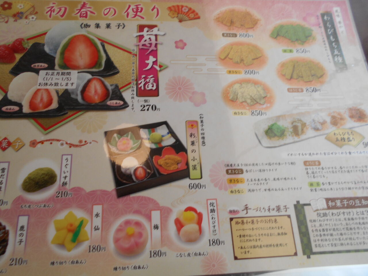 DSCN0720