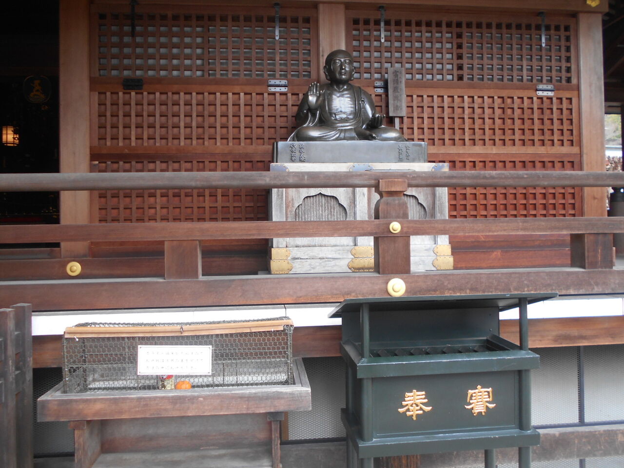 DSCN6245