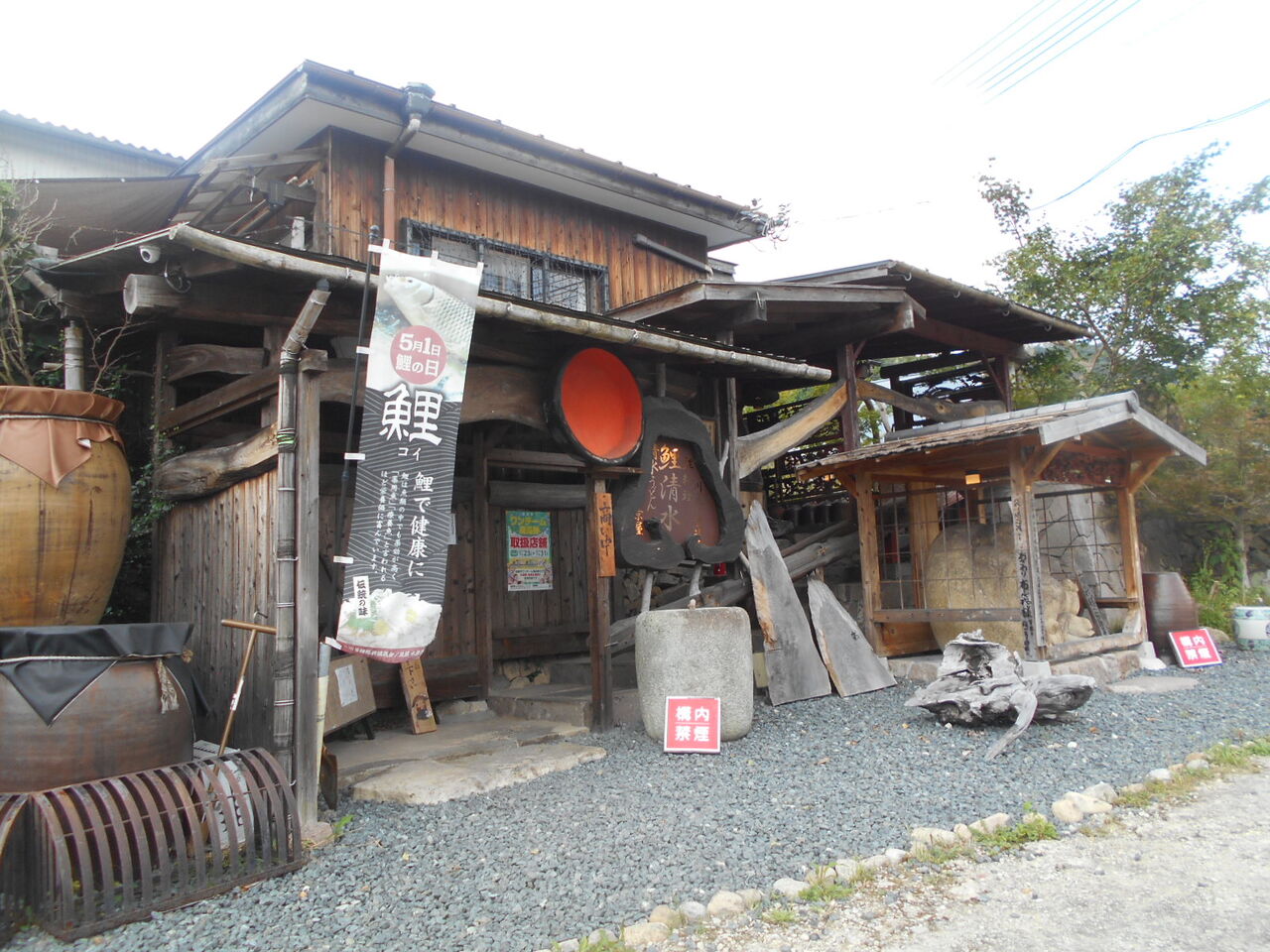 DSCN5652