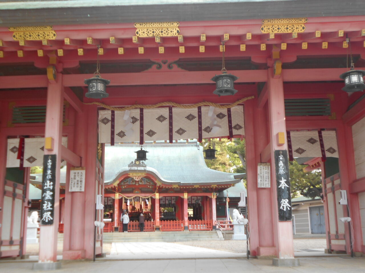 DSCN4446
