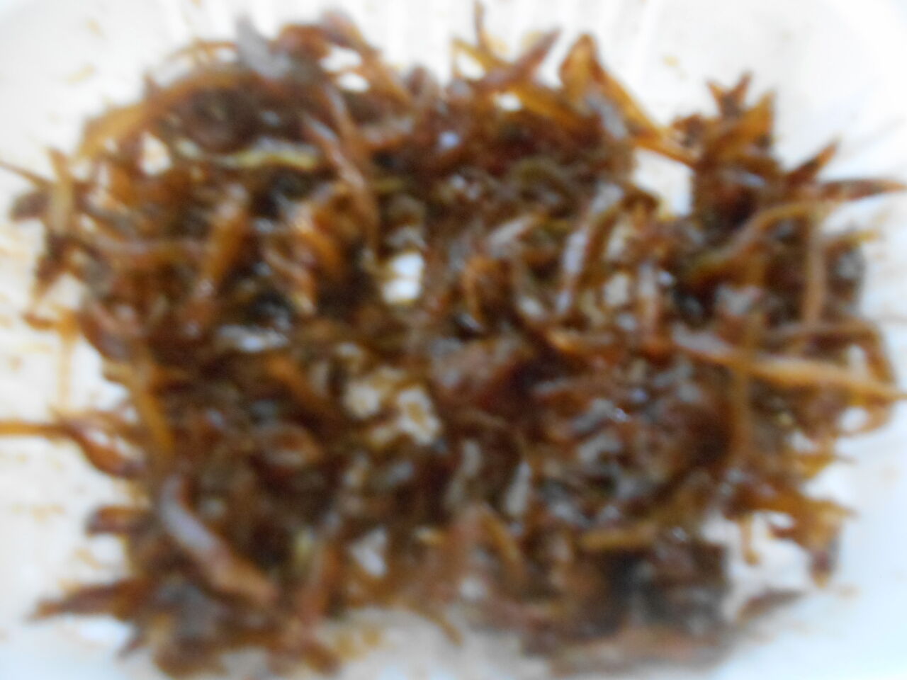 DSCN7433