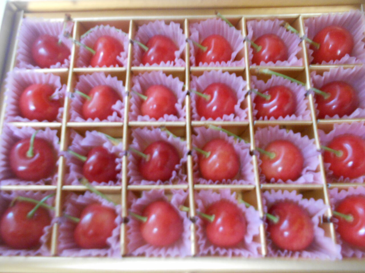 DSCN8373
