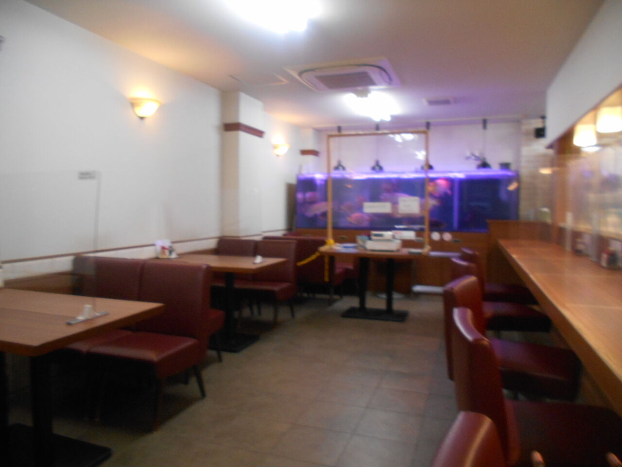 DSCN1668