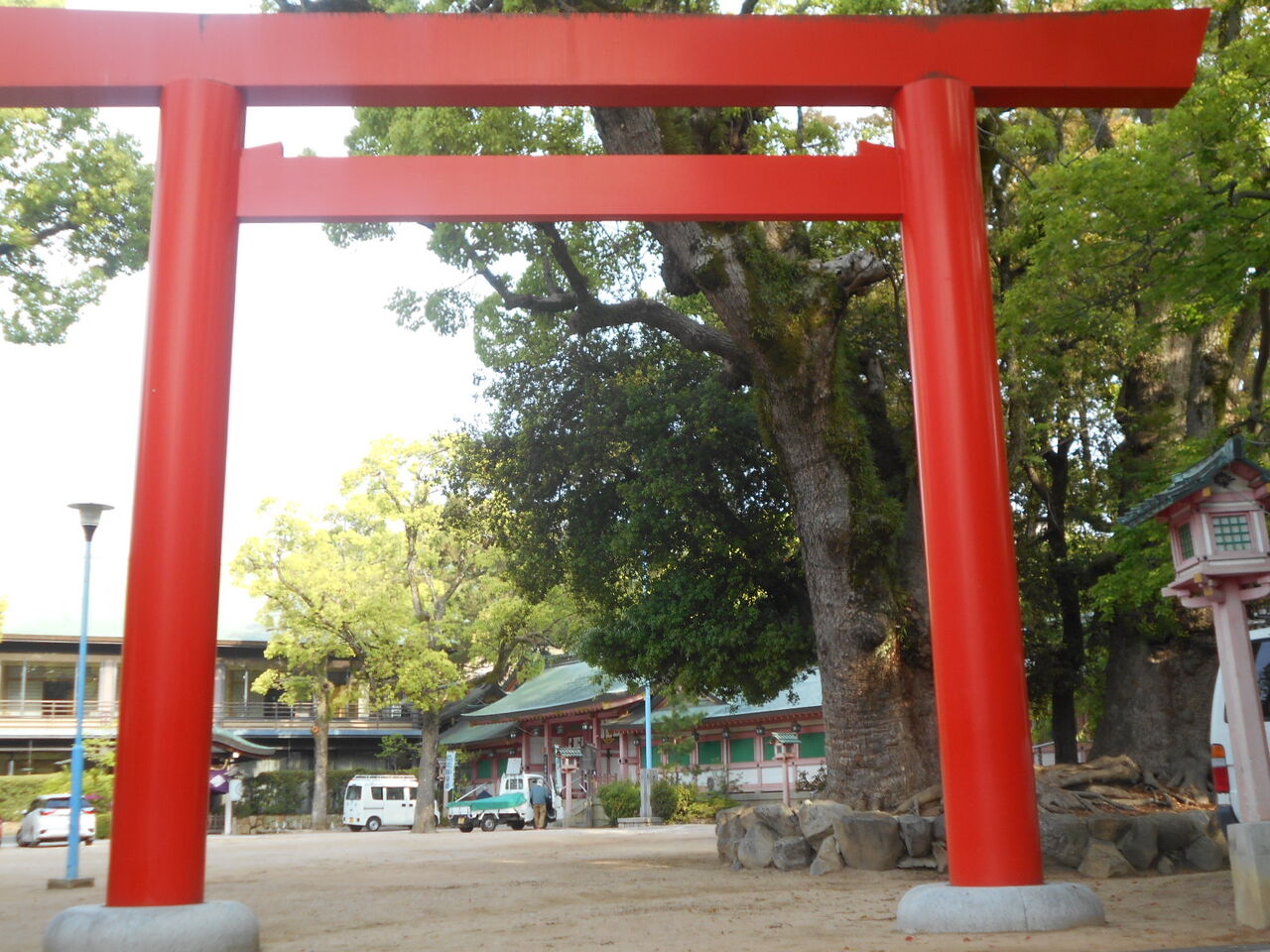 DSCN4447