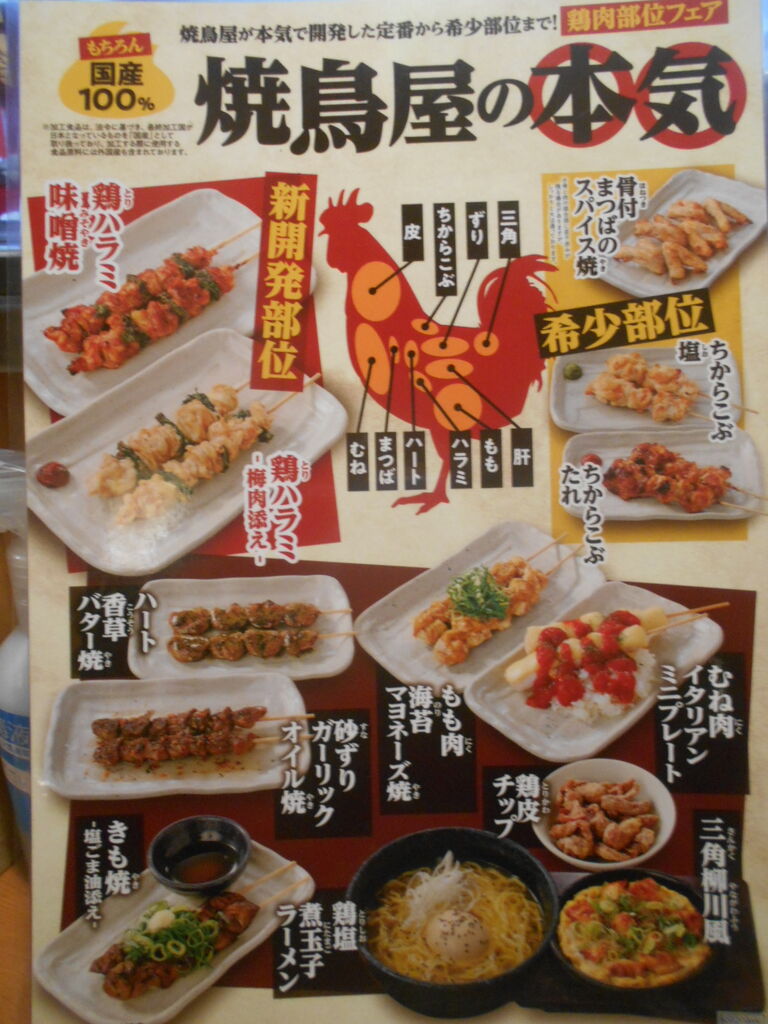 DSCN2993