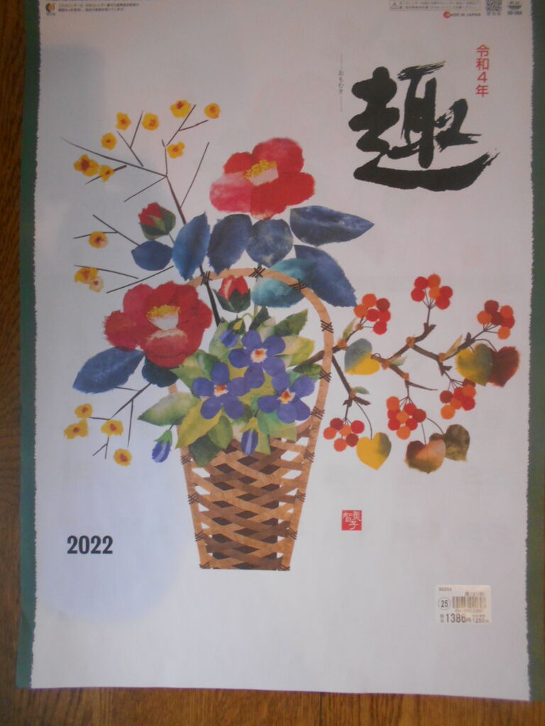 DSCN6753