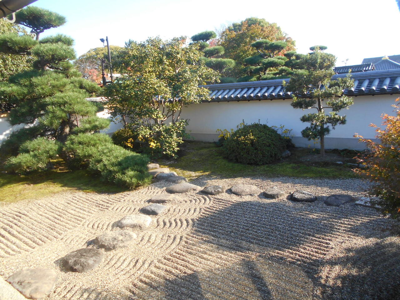 DSCN0237