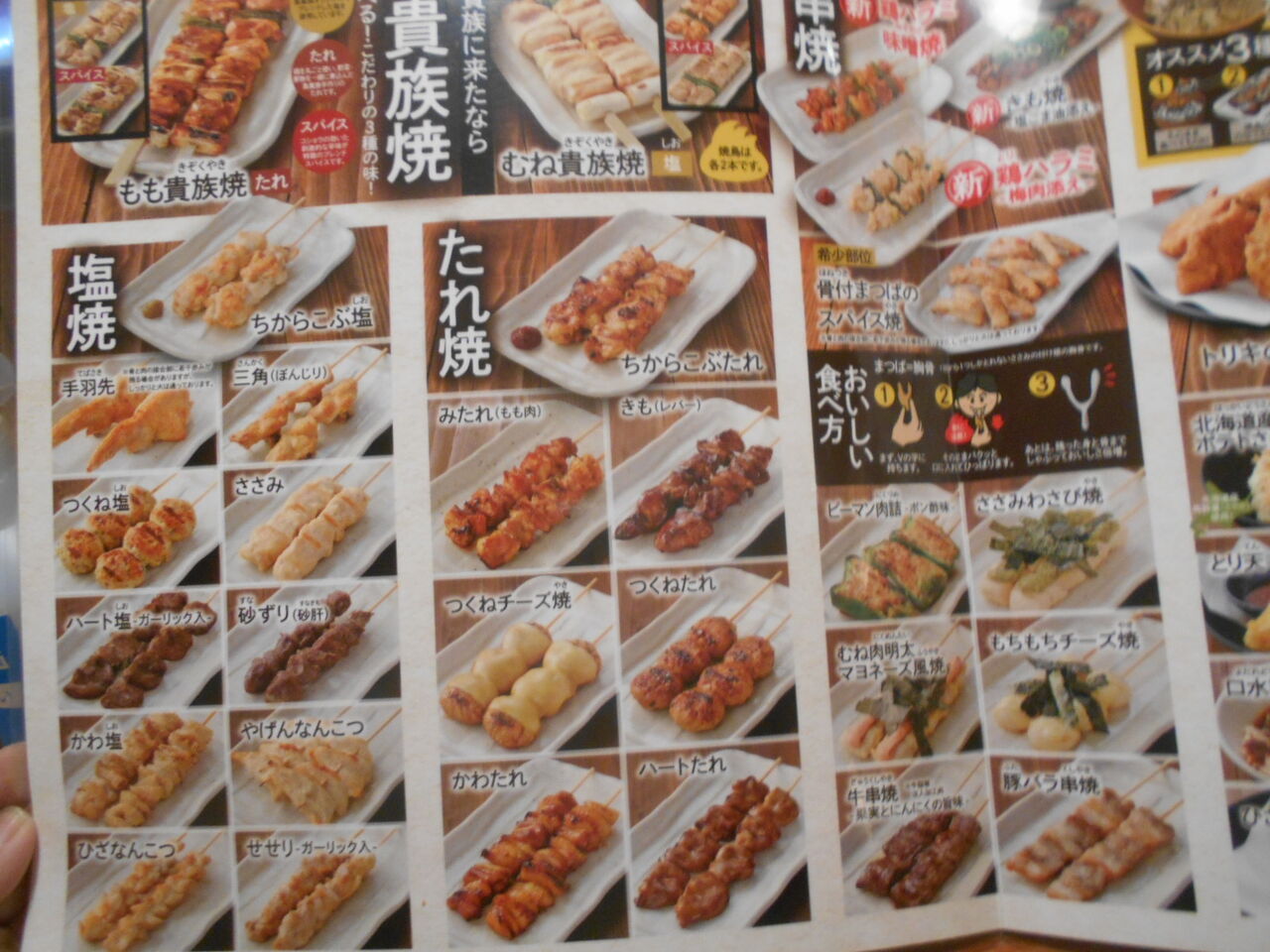 DSCN2995