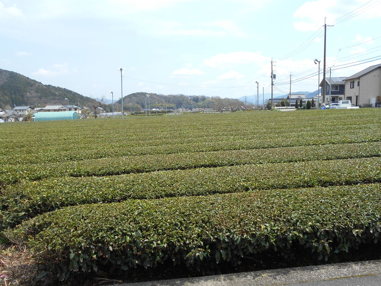 DSCN1120