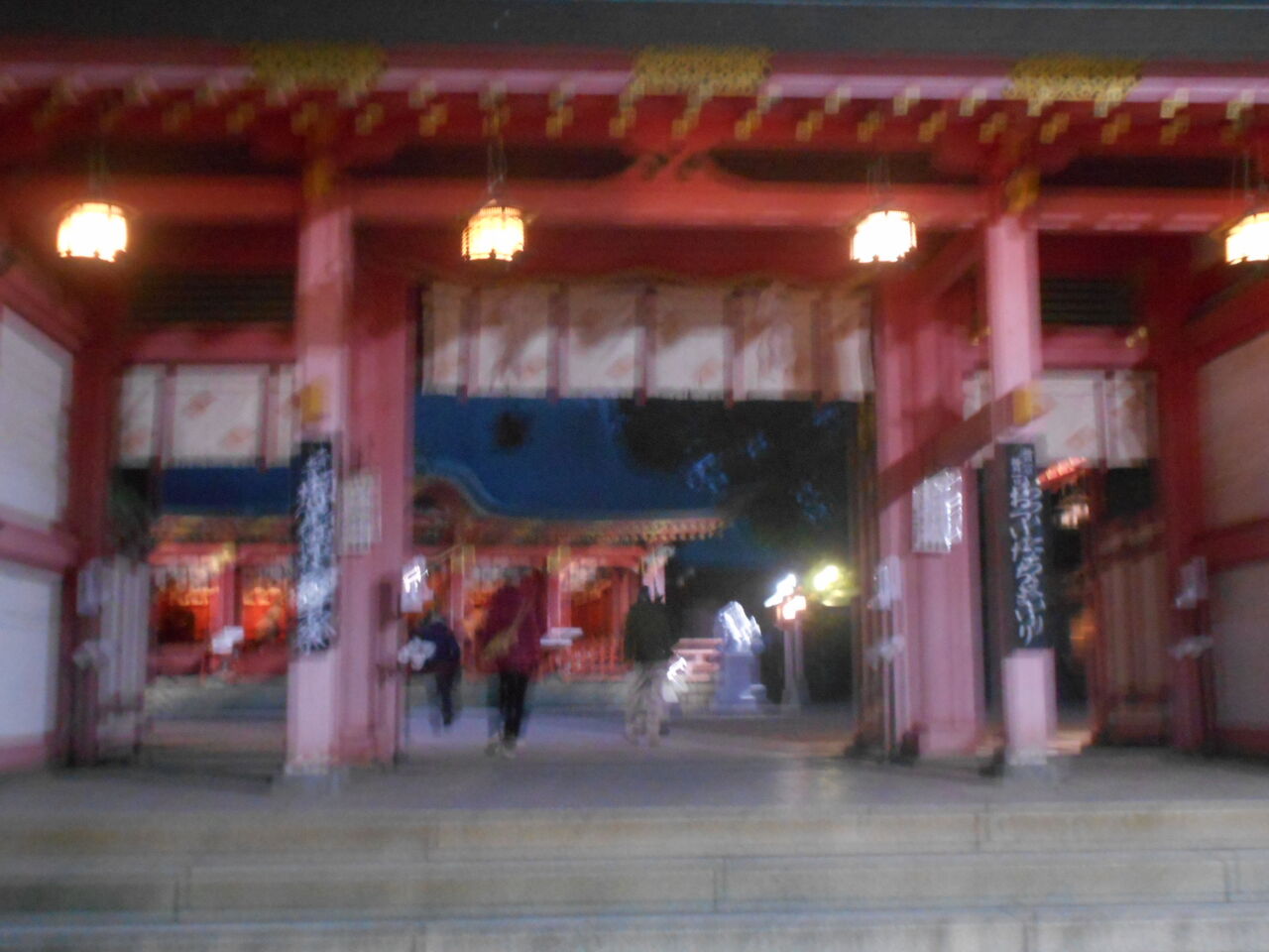 DSCN3994
