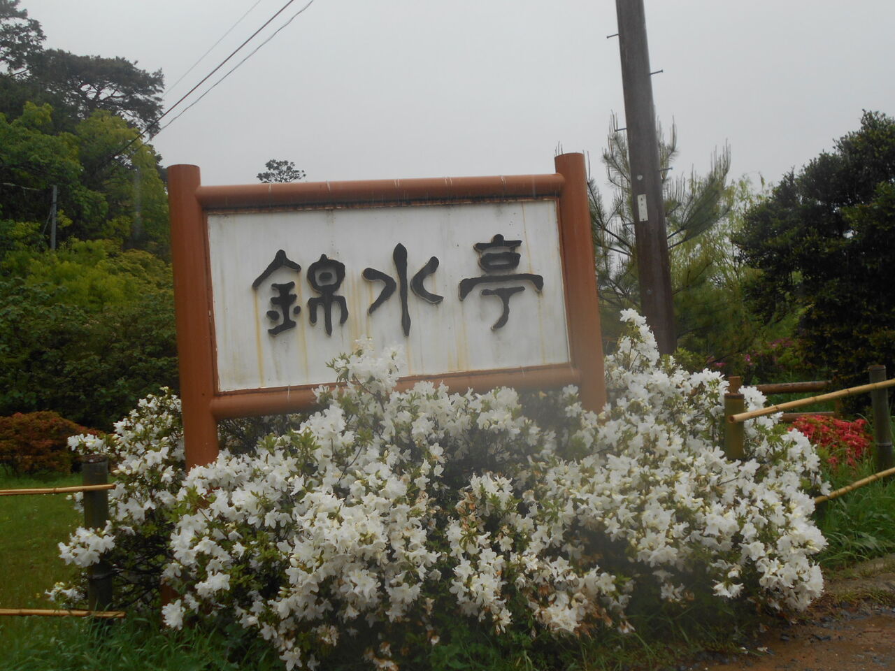 DSCN4415