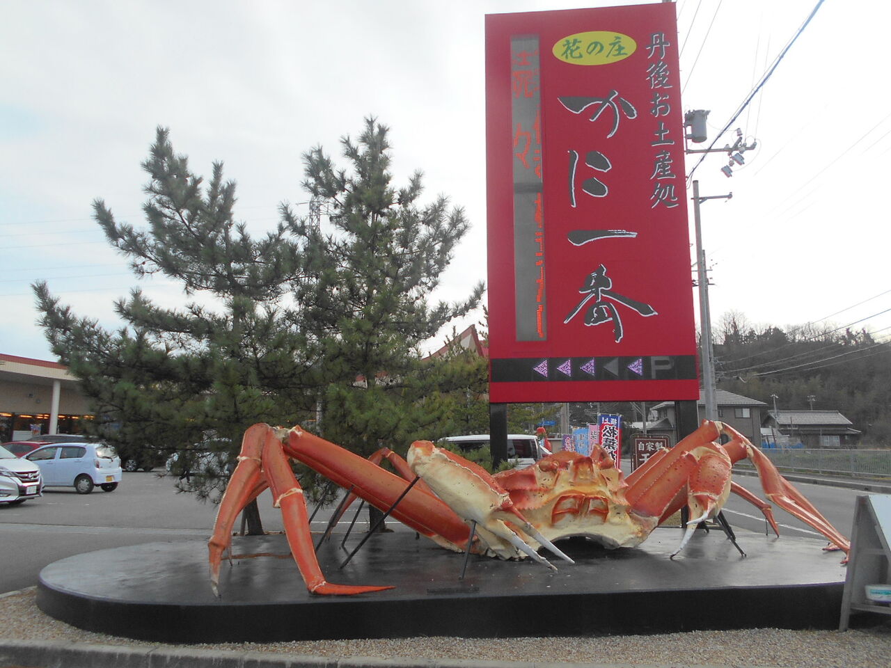 DSCN0913