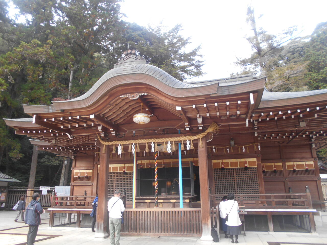 DSCN6243