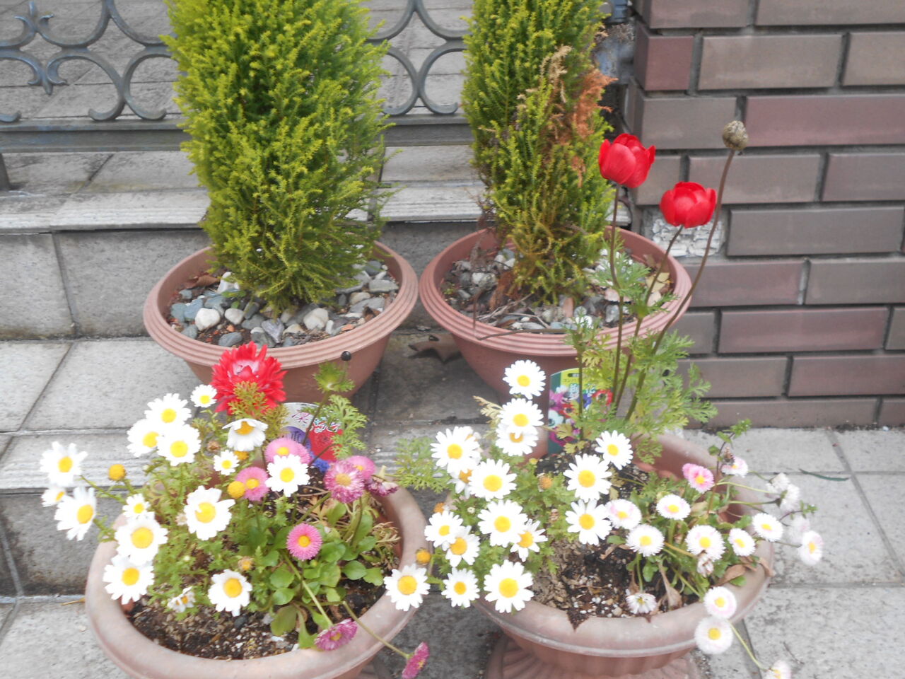DSCN4297