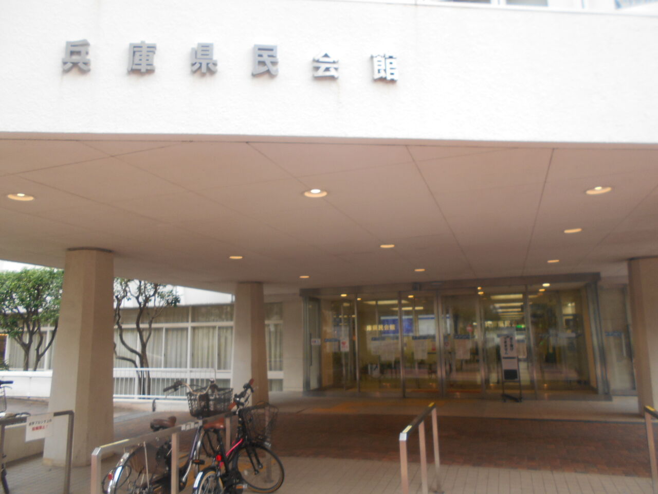 DSCN3100