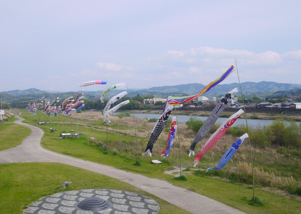 吉野川河川敷 五條市 の こいのぼり 事務長のホッと一息