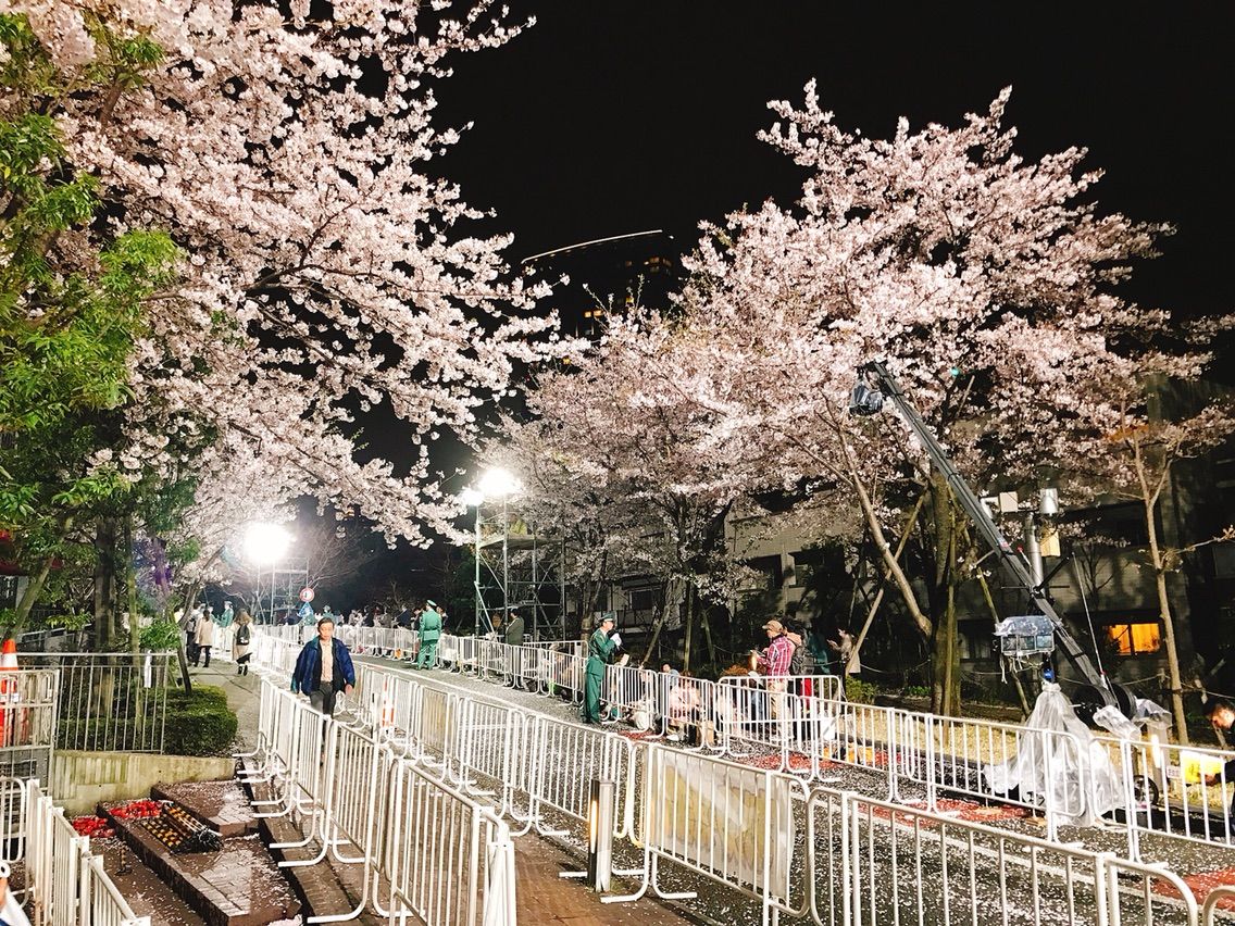 Tbsのオールスター感謝祭17春 赤坂五丁目ミニ駅伝 ミニマラソンを観戦 日式社畜榎田の諸国漫遊記 Tbsのオールスター感謝祭17春 赤坂五丁目ミニ駅伝 ミニマラソンを観戦 日式社畜榎田の諸国漫遊記