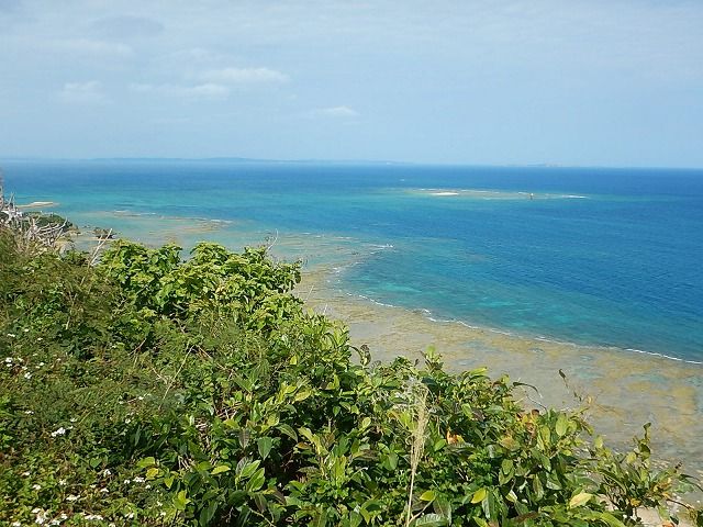 沖縄本島で貝拾い えのしま貝散歩