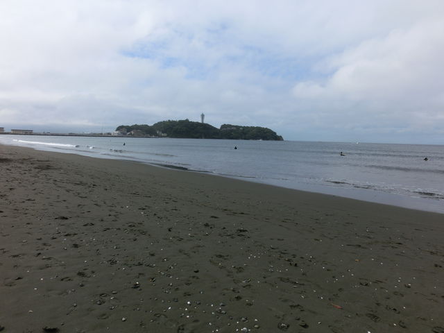 海のサボテン 陸のサボテン えのしま貝散歩