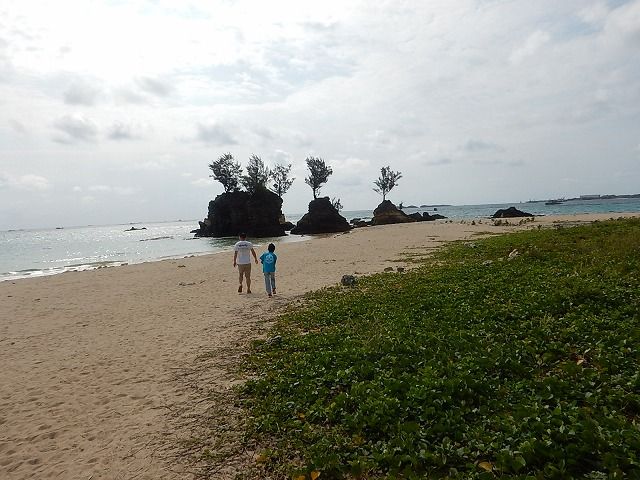 沖縄本島で貝拾い えのしま貝散歩