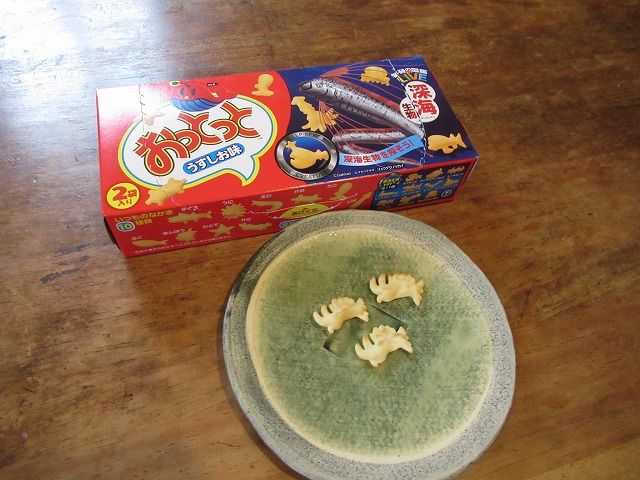 ハマシイノミガイ祭り えのしま貝散歩 ハマシイノミガイ祭り えのしま貝散歩
