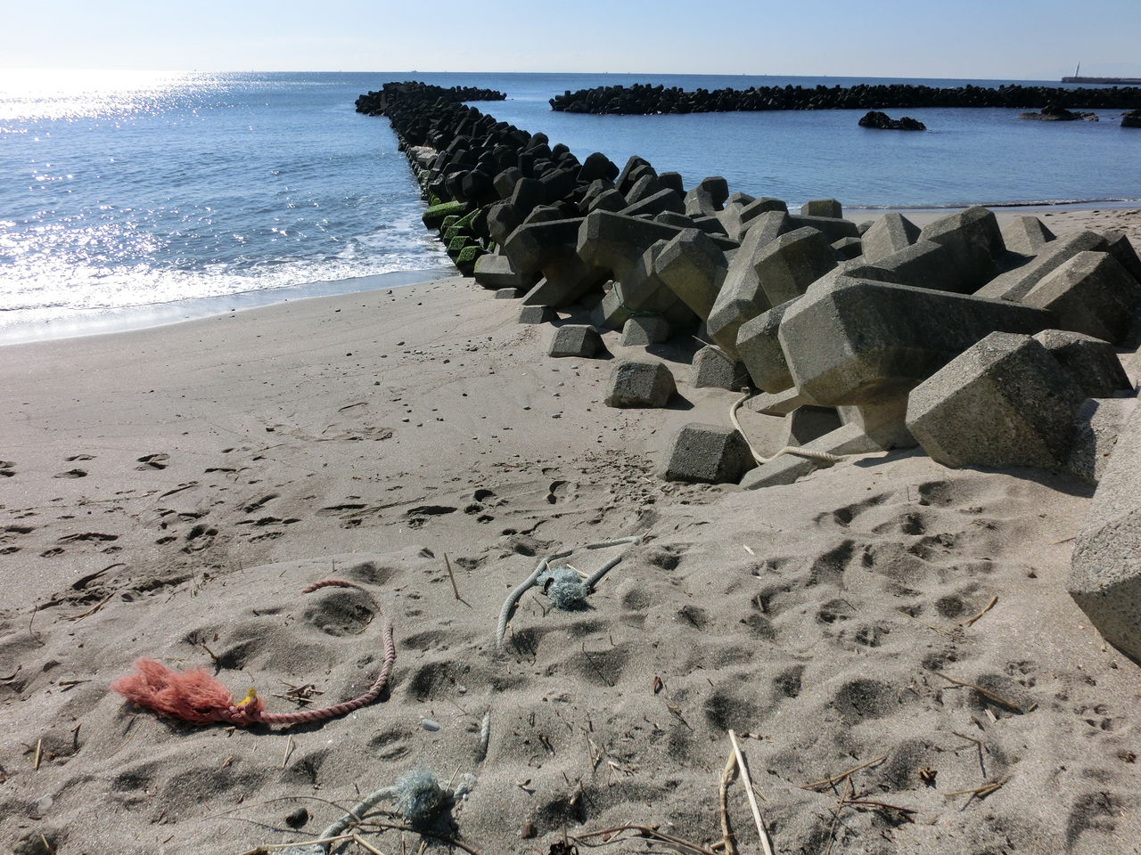 鎌倉高校前 えのしま貝散歩