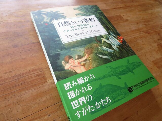版画展覧会「自然という書物」 : えのしま貝散歩