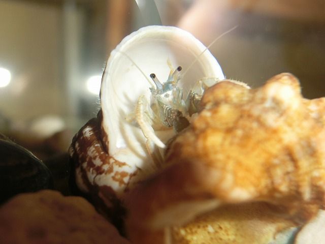 とばっちりを食う