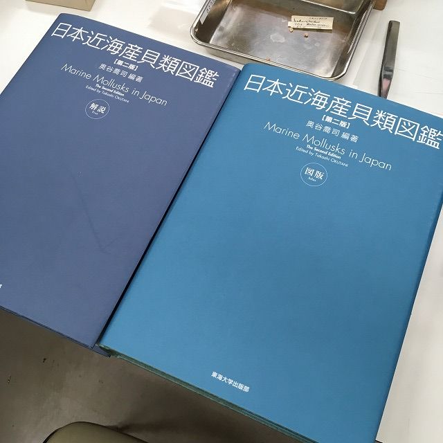 日本近海産貝類図鑑【第二版】 直売新品 www.laboratoriojoseroberto