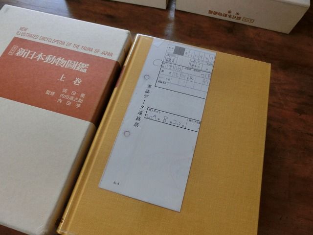 買っちゃった : えのしま貝散歩