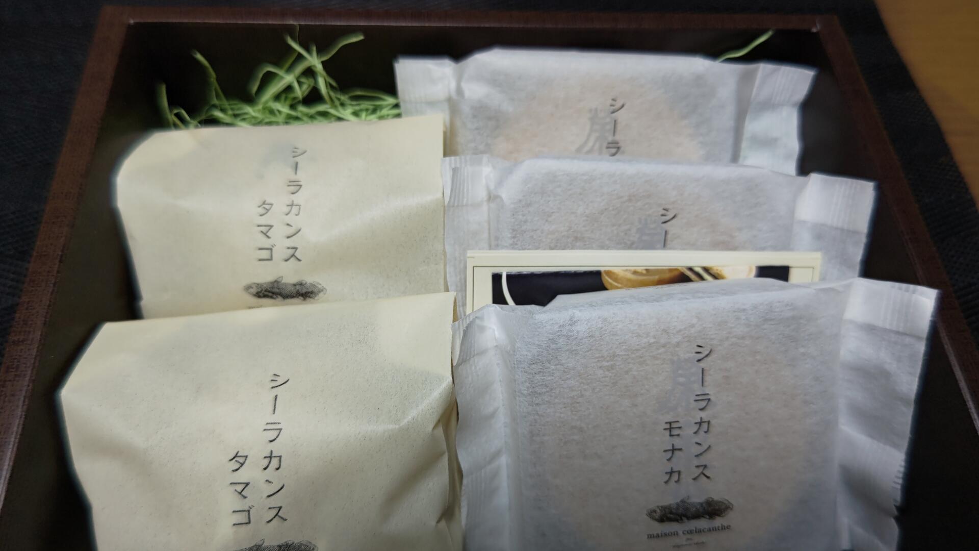 シーラカンスモナカとシーラカンスタマゴ＠メゾンシーラカンス