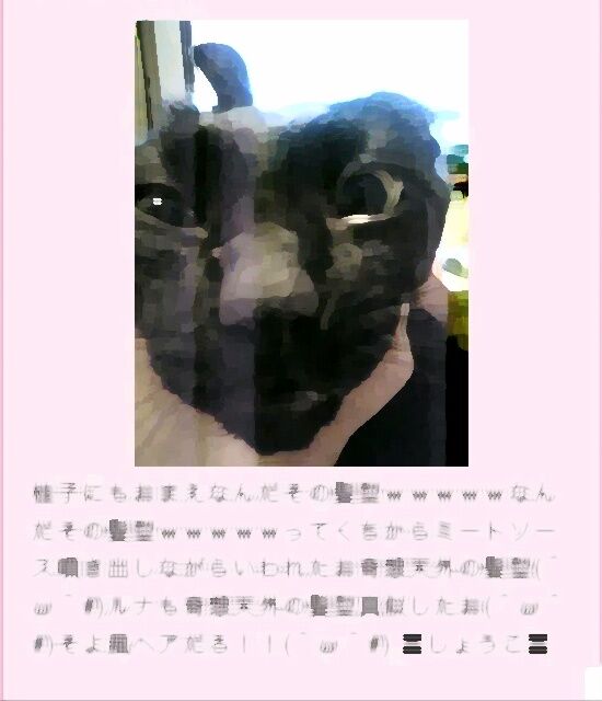 picture