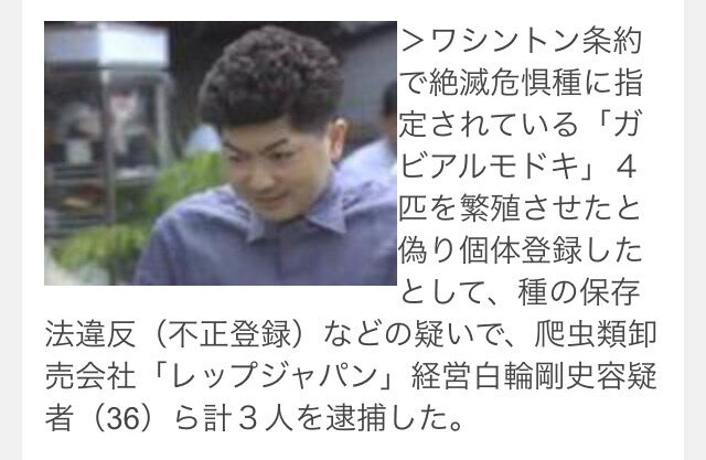 アミメニシキヘビ優しく抱いた白輪園長 爬虫類への理解と愛でヒーローに どどん エンタメ情報まとめ隊 アミメニシキヘビ優しく抱いた白輪園長 爬虫類への理解と愛でヒーローに どどん エンタメ情報まとめ隊