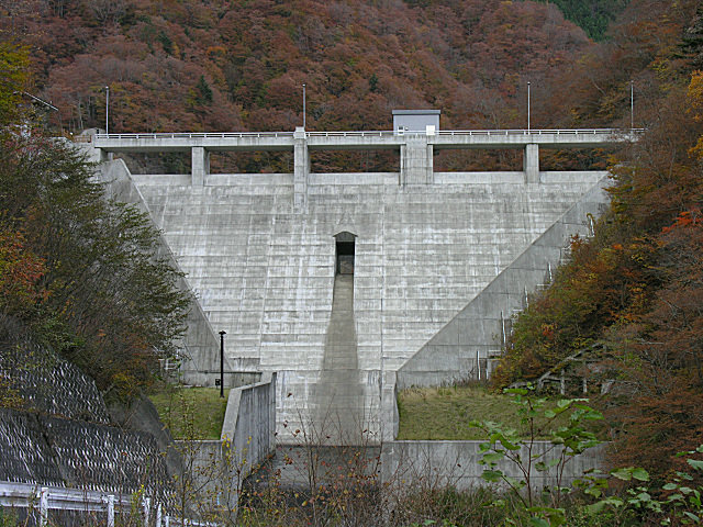 コロナウイルスの症状はインフルエンザに似ている