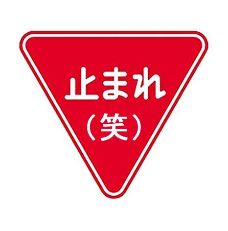 41h9JFmZ2lL._SX466_
