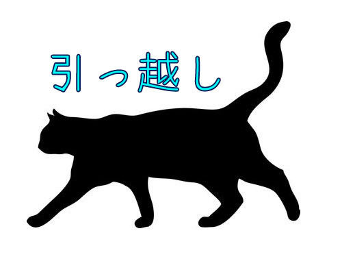 「今日引っ越したけど…うちの猫が取った行動がこれ」