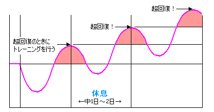 ワイ「毎日筋トレしてる」敵「超回復知らんの？毎日やっても効果ないよ」