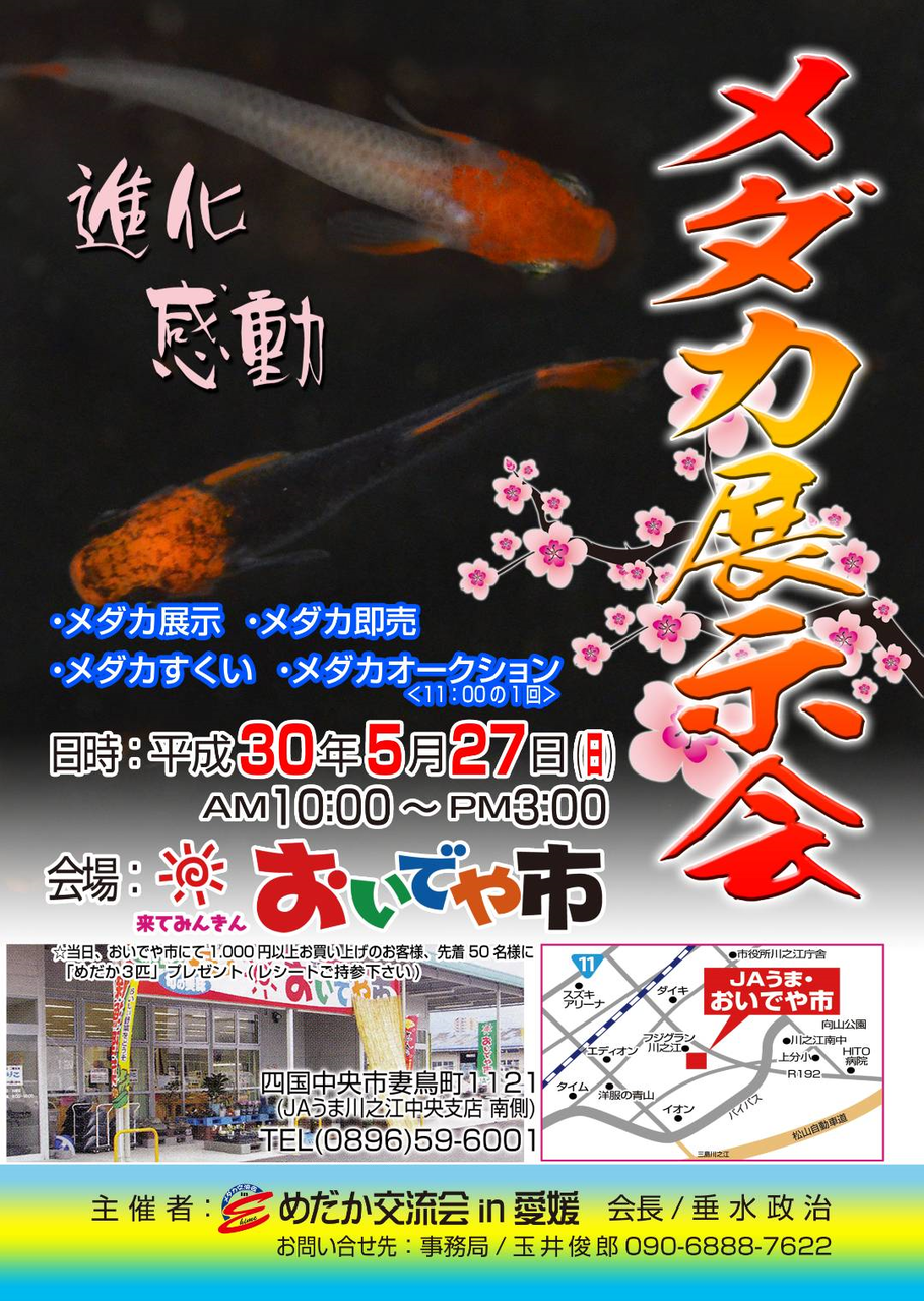 18年05月 メダカ交流会のblog 18年05月 メダカ交流会のblog