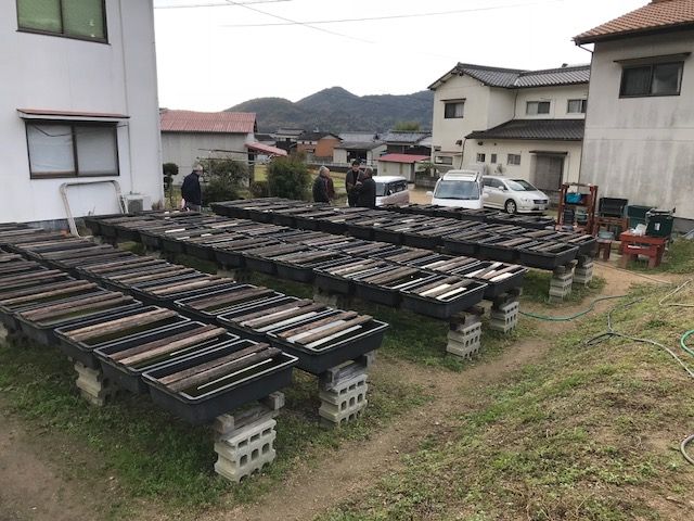 メダカ交流会inエヒメ 研修旅行報告 メダカ交流会のblog