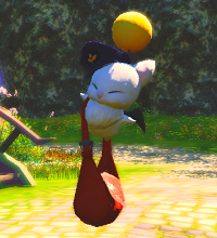 lettermoogle