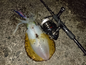 DSC_0483_2