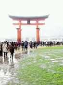 rps20130210_213733