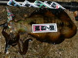 MR136hirata